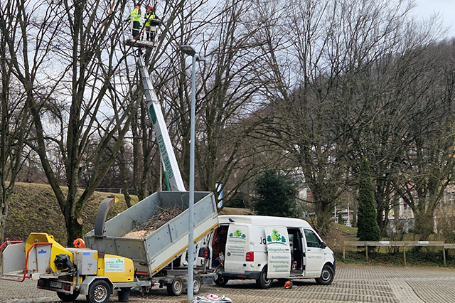 Sturmschadenbeseitigung